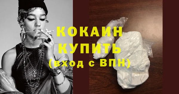 сатива Вяземский