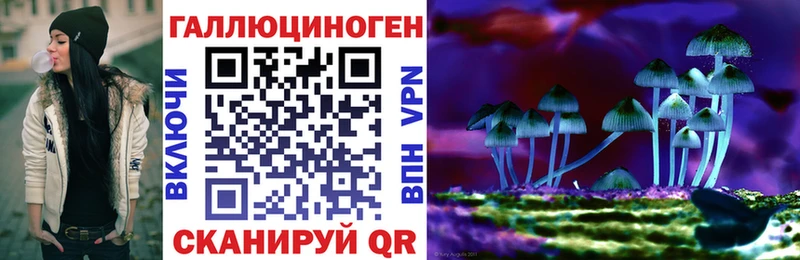 Галлюциногенные грибы Cubensis  KRAKEN как зайти  Берёзовка 