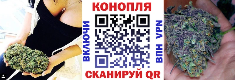 Канабис планчик  это какой сайт  Берёзовка 